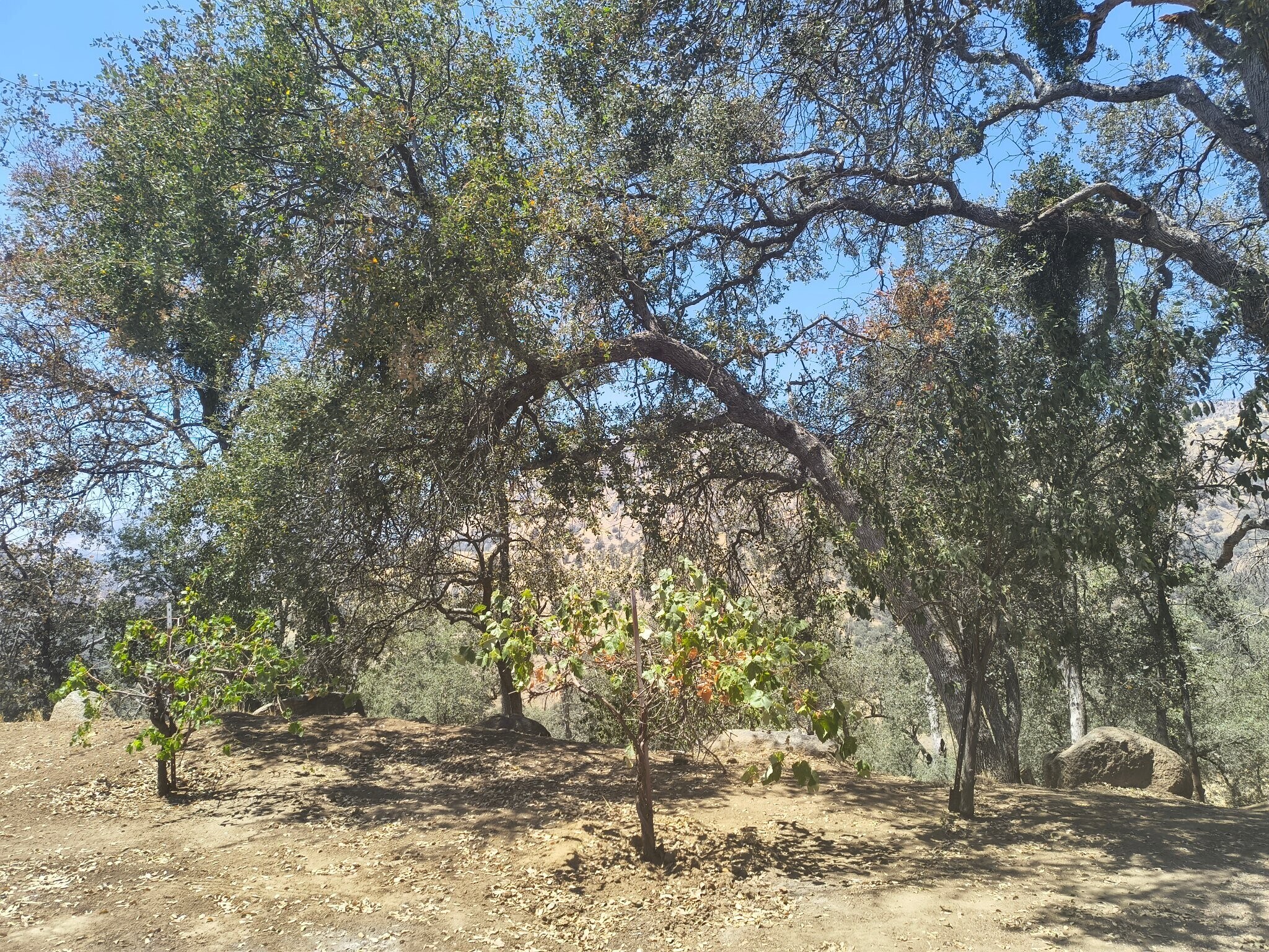 Building Photo - 35468 E Kings Canyon Rd