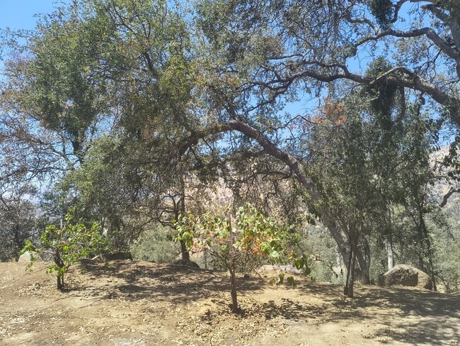 Building Photo - 35468 E Kings Canyon Rd