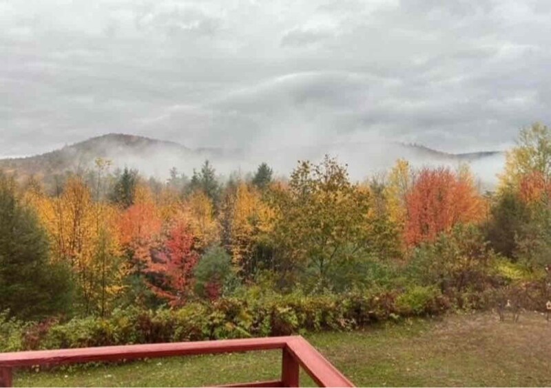 Building Photo - 2101 State Hwy 9N