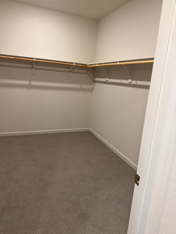 Building Photo - 3129 Ballena St