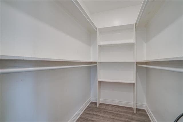 Building Photo - 4127 Thalia St