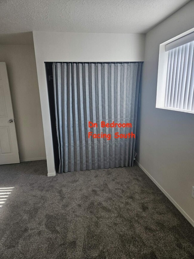 Building Photo - 1438 Stetson Way