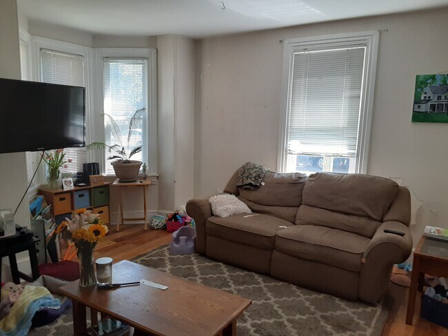 living room - 210 W Montgomery Ave