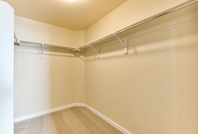 Building Photo - Beautiful 5 bed 3 bath home in the Pelican...