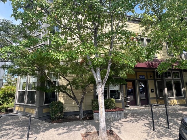 Primary Photo - 545 A St