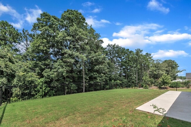 Building Photo - Four Bedroom + Loft Dream Home in Youngsville