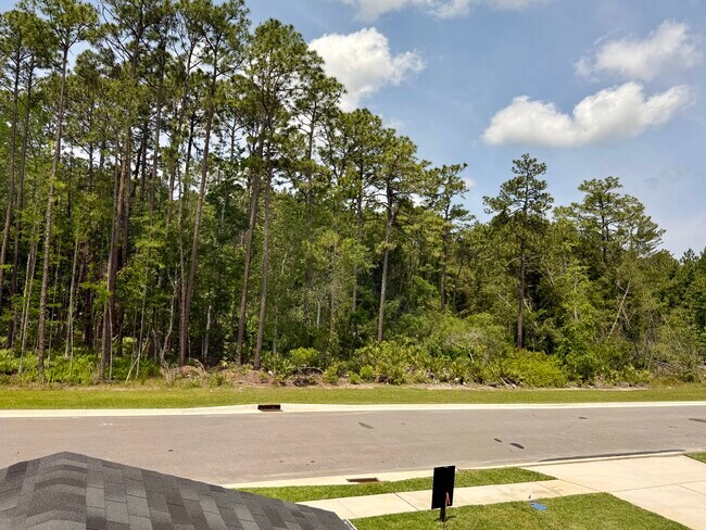 Building Photo - 224 Beach Palm Ct
