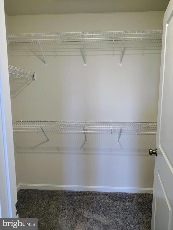 Building Photo - 26 Stembogan Ct