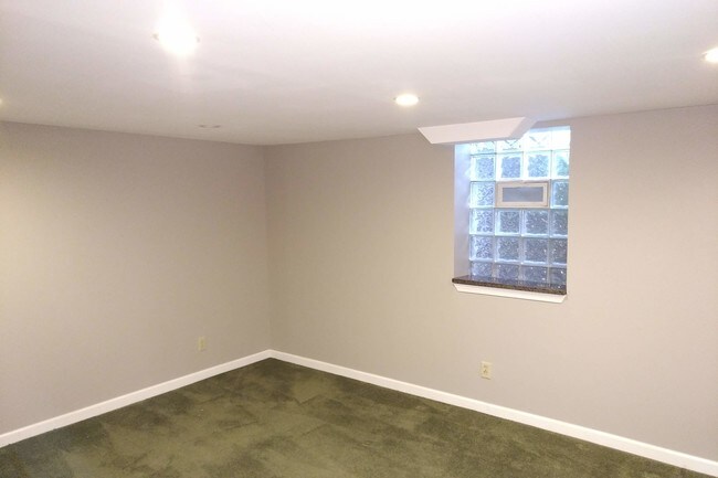 Basement - 712 Graefield Ct