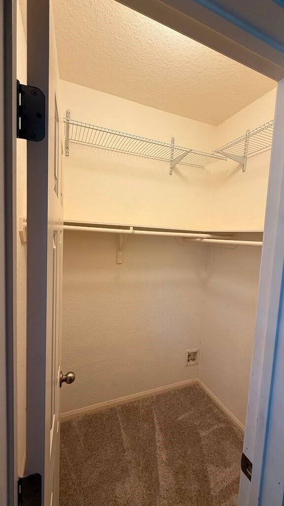 Building Photo - 3511 Cedar Hill Ct