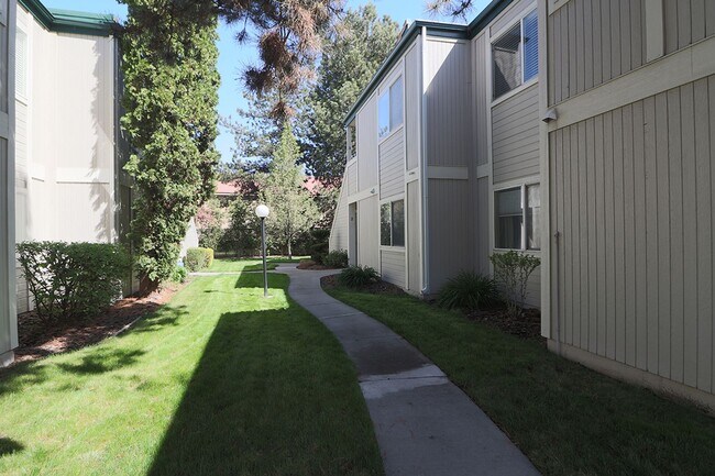 Building Photo - 2659 Sycamore Glen Dr