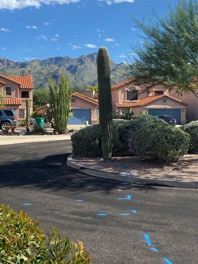 Building Photo - 5249 N Adobe Cir