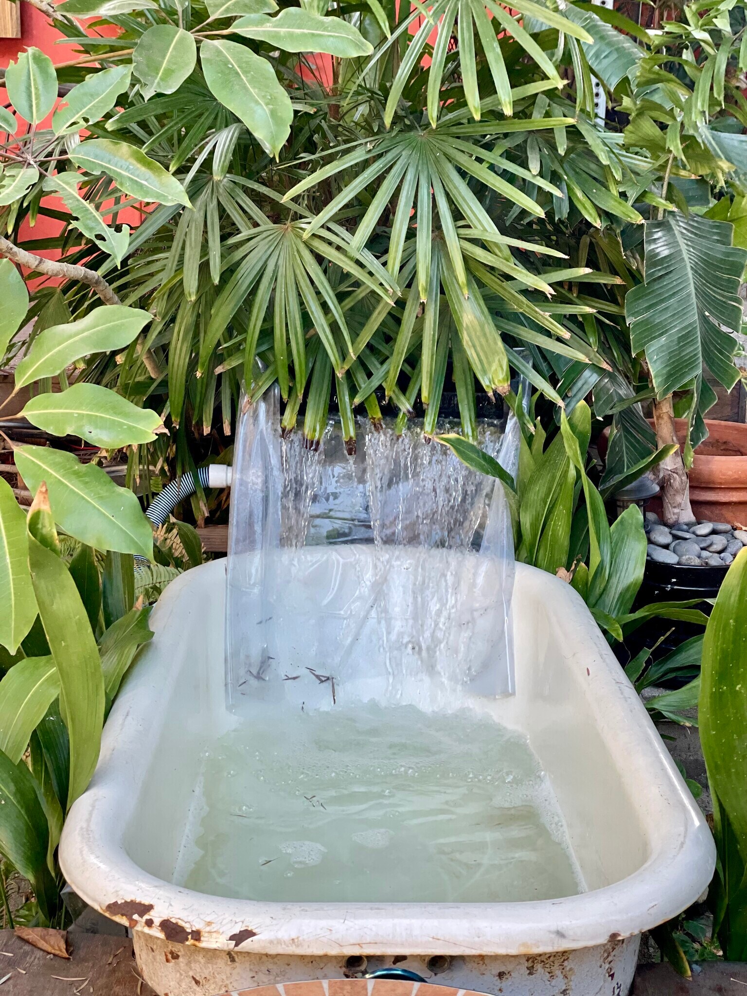 Cold plunge bath - Shared courtyard with four other bungalows - 2918 Pacific Ave