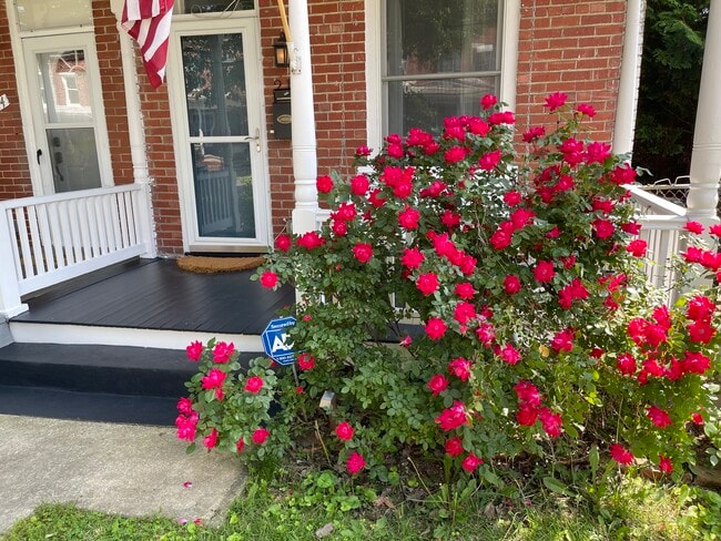 Building Photo - 216 Washington St