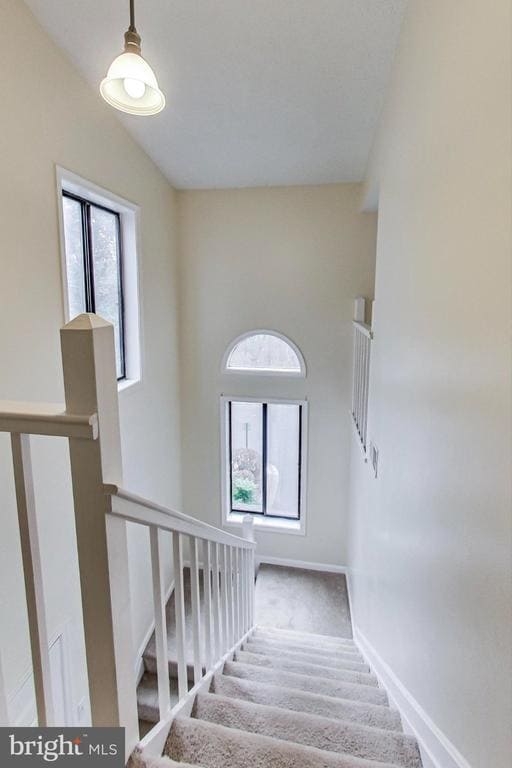 Building Photo - 896 Windbrooke Dr
