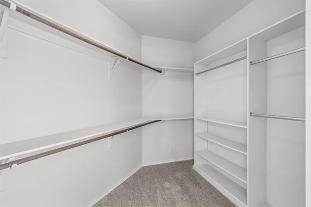 Building Photo - 3032 Thicket Bend Ct