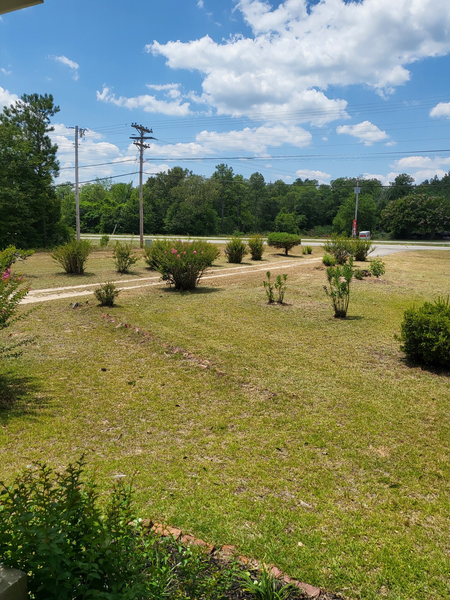 Front yard - 1785 Edgefield Rd
