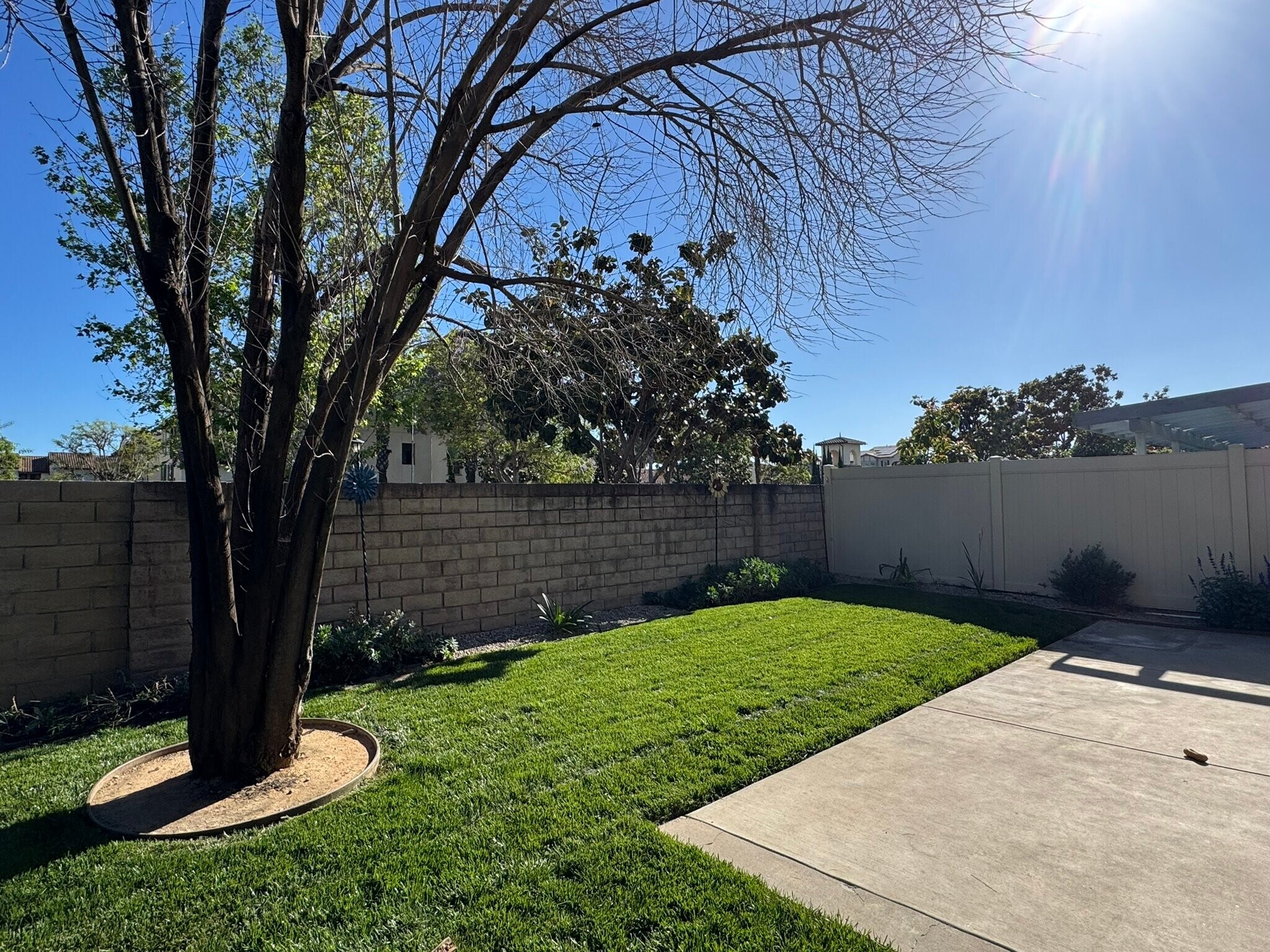 Building Photo - 140 Spanish Moss Pl