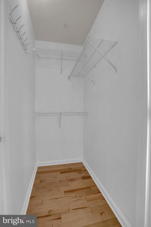 Building Photo - 3902 Cotton Tree Ln