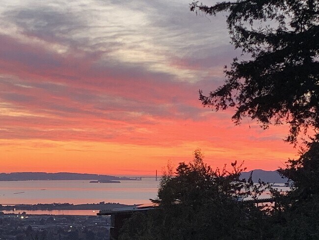 Building Photo - 890 Cragmont Ave