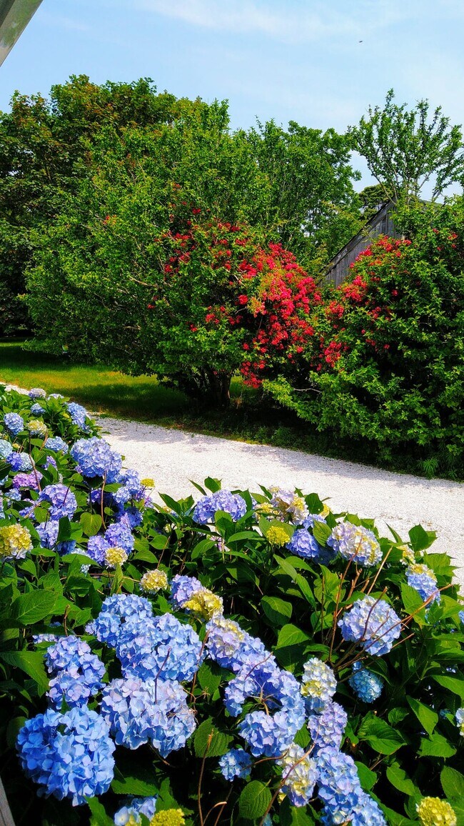 Crushed seashell driveway in spring. - 94 Cross Rd