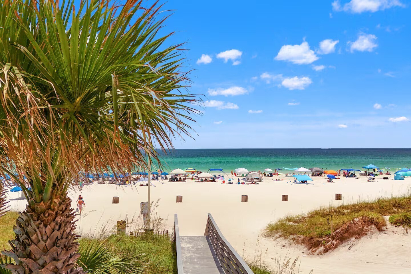 The beach.....just a few steps from the condo - 10625 Front Beach Rd