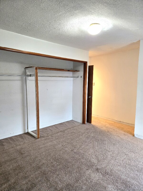Building Photo - 186 Conarroe St