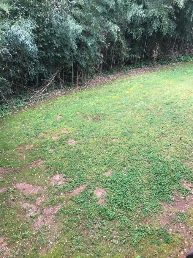 Building Photo - Charming 2 bed 2 bath duplex located in Newton