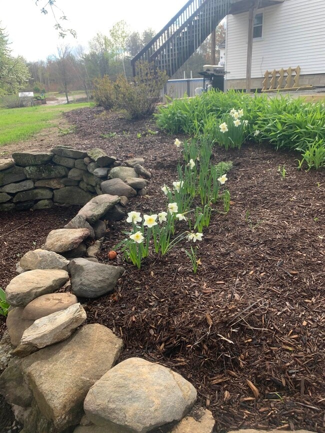 Building Photo - 293 Bear Hill Rd