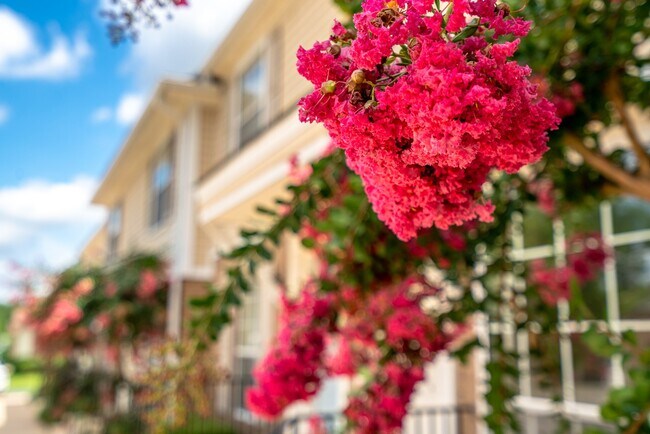 Building Photo - 608 N Jefferson