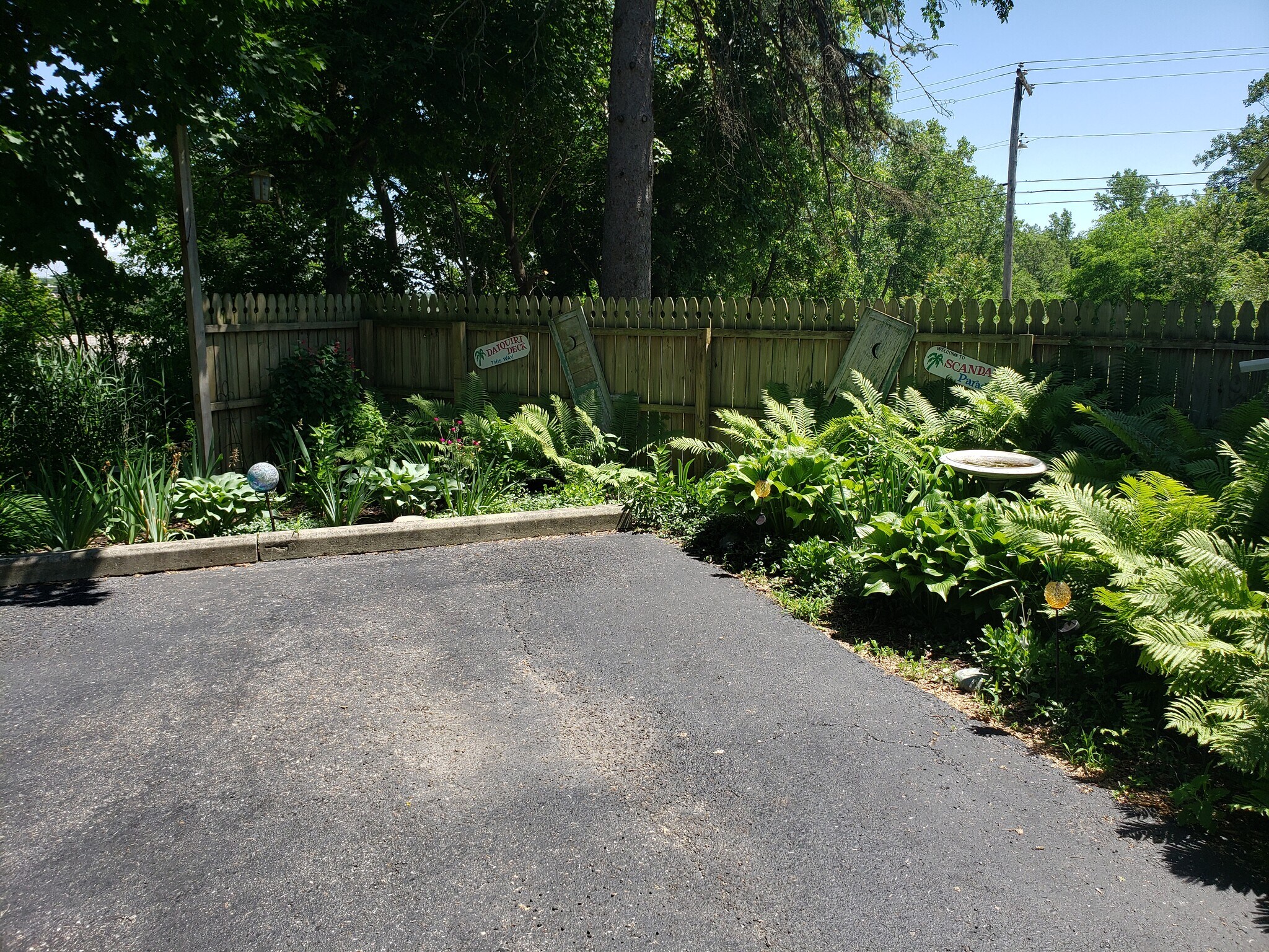 Yard - 102 Spring St