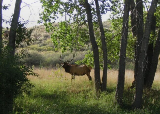 Building Photo - 8400 W County Rd 18E