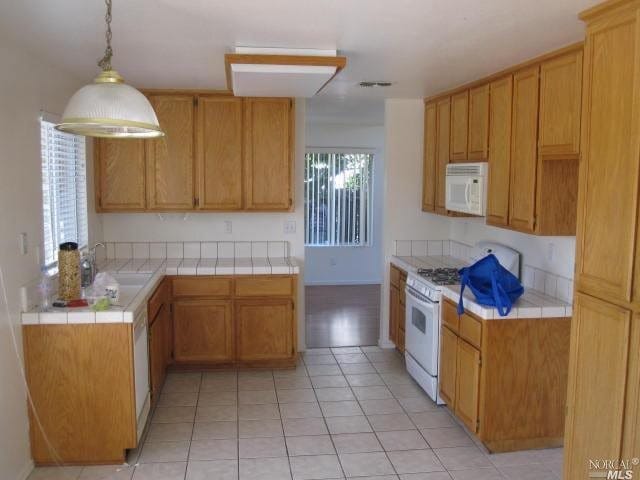 Building Photo - 1006 Cinnabar Way
