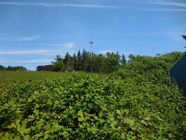 Building Photo - 16093 SW Roy Rogers Rd