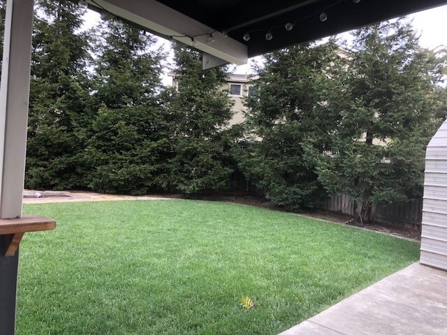 Building Photo - Single Level 4 Bedroom with a Lovely Backyard!! Co signers are accepted ~ Near SSU