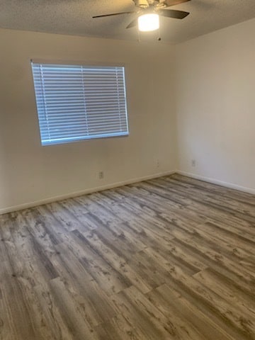 Building Photo - 12923 Doty Ave