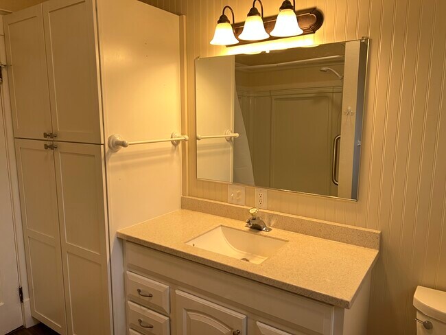 Storage cabinet & sink - 418 E Reid Ave