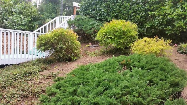 Building Photo - 19004 12th Ave NE