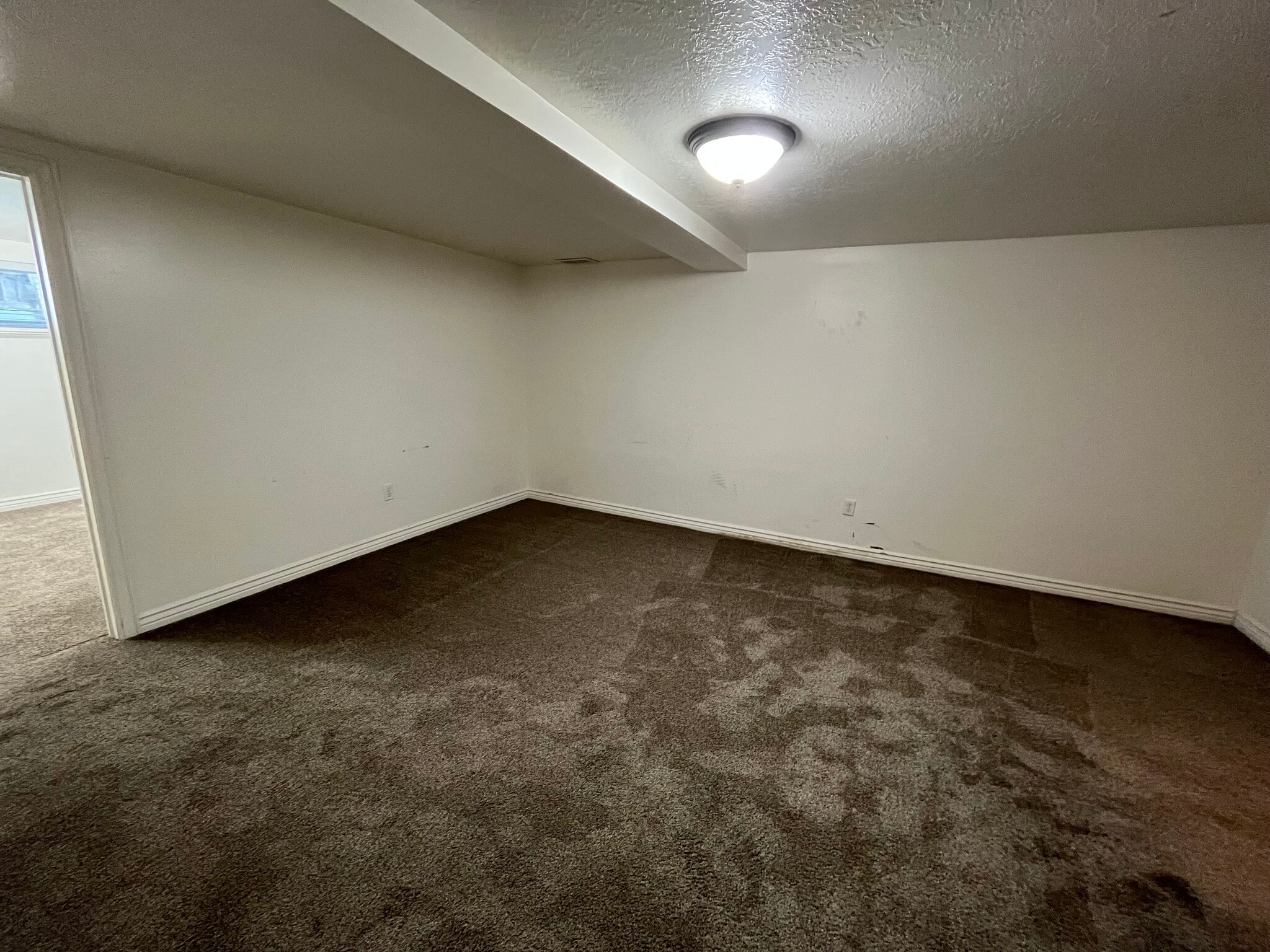 Downstairs Living Room - 245 Cherry Hill Dr