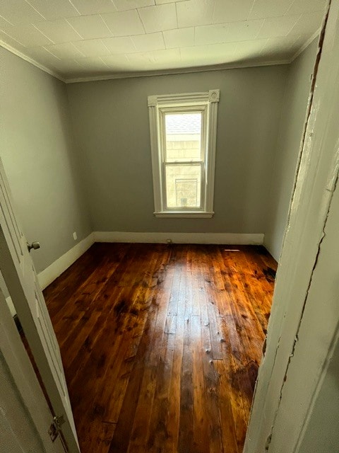 Building Photo - 56 Cady St