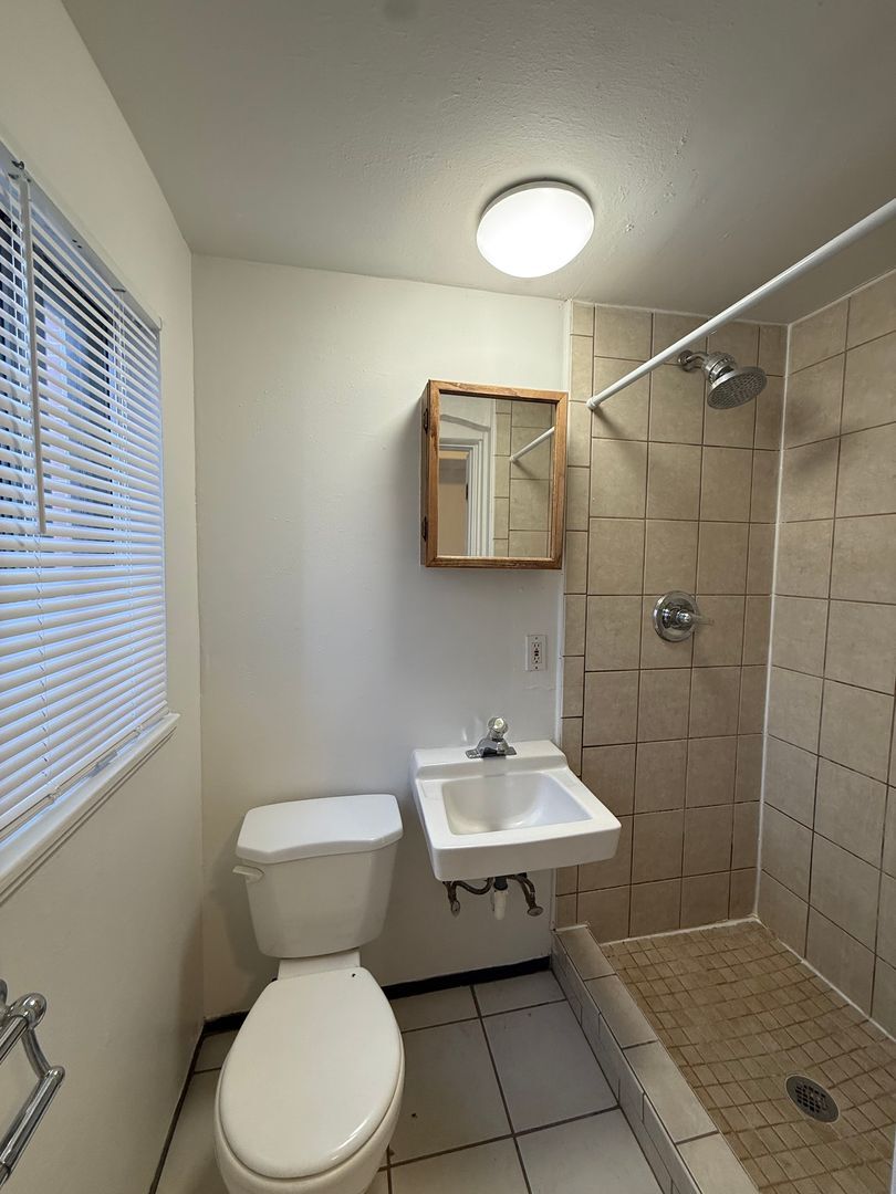 Building Photo - 1334 N Downing St