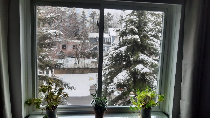 Building Photo - 25 Homer Ave