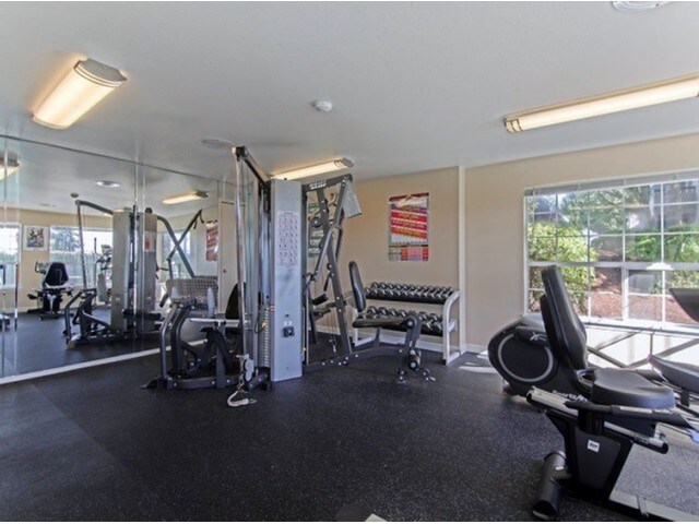 Alderbrooke Lynnwood Wa Apartment Finder