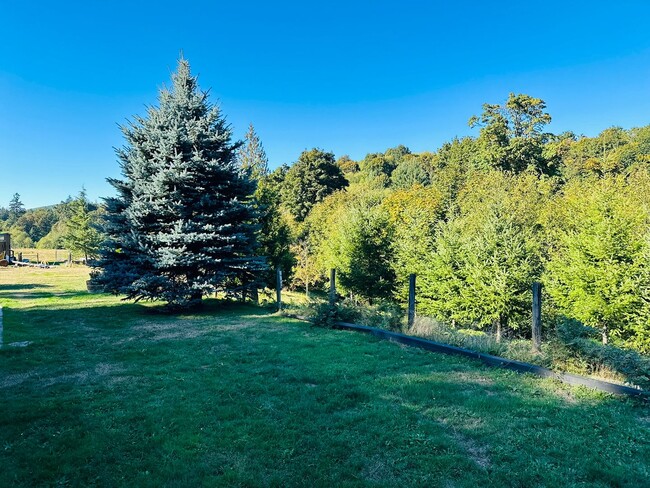 Building Photo - Beautiful Acreage Property