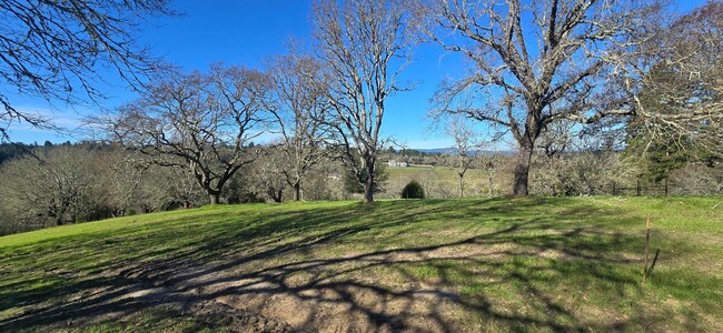 Building Photo - Privacy And Space In The Heart Of Rural West County. Minutes From Sebastopol And The Bay.