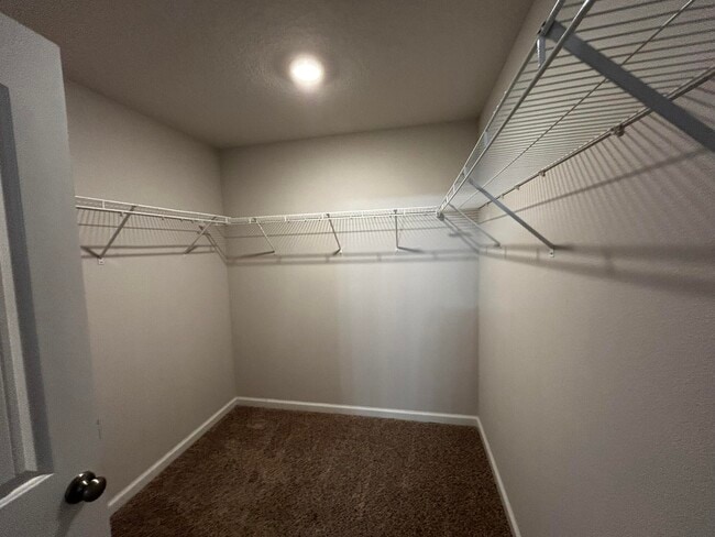 Building Photo - 3526 Sugar Maple Ln
