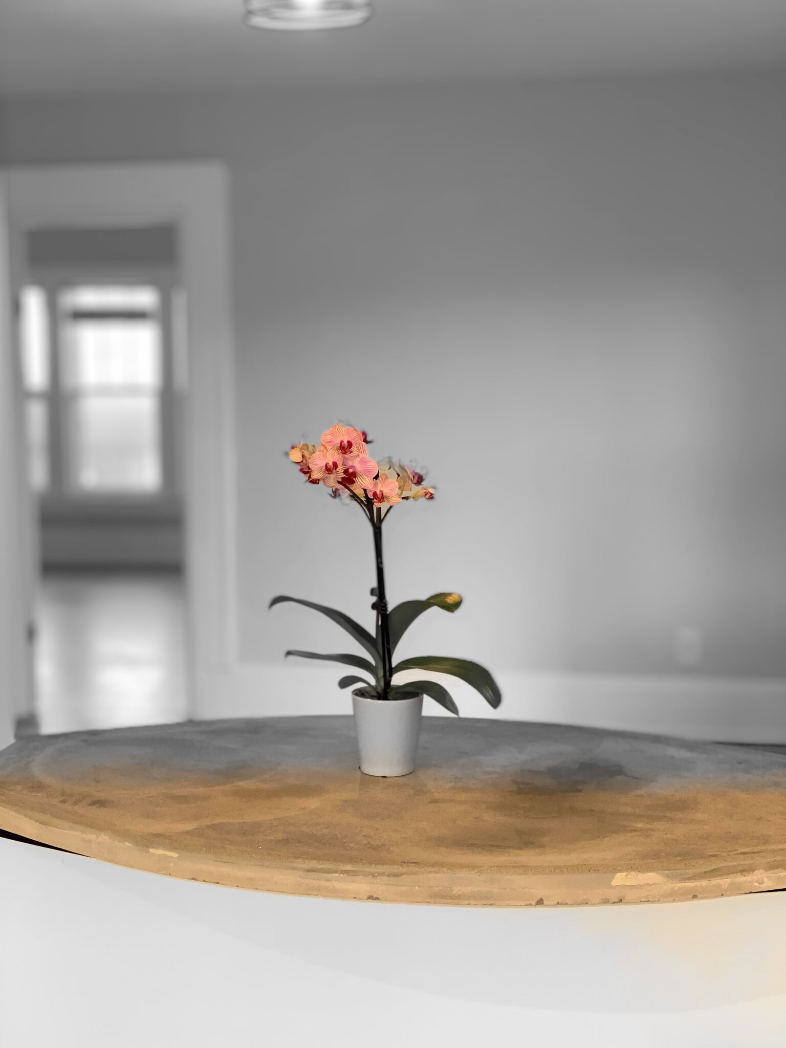 Building Photo - 618 Adams Street NE