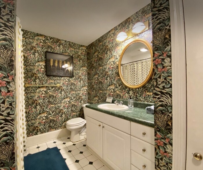Bathroom - 207 W Jones St