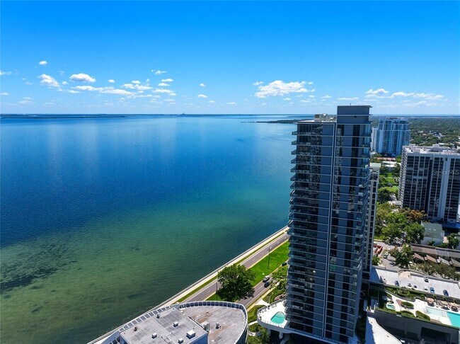 Building Photo - 3101 Bayshore Blvd