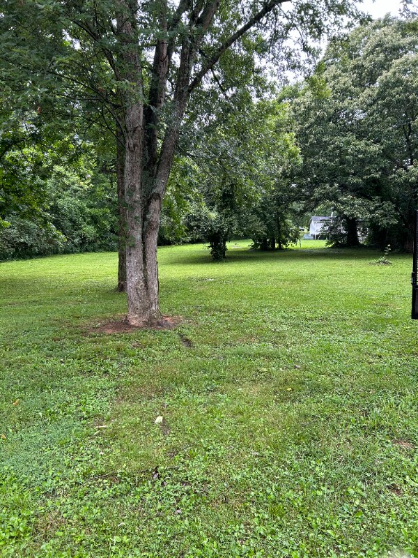 Building Photo - 127 Fairview Ave